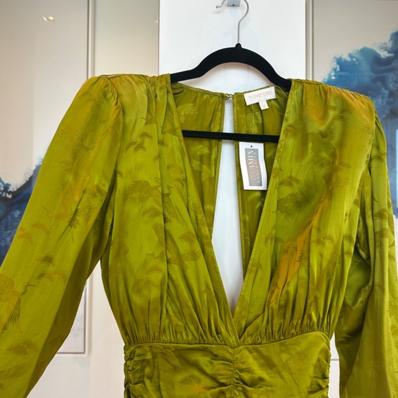 Ronny Kobo Michelle Ruched Satin Jacquard Mini Dress - Picture 6 of 6